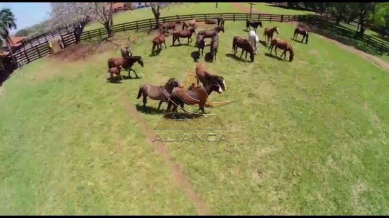 Aliança Imóveis - Imobiliária em Ribeirão Preto - SP - Fazenda  - Fazenda - Santa Vitoria
