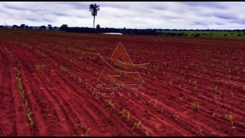 Aliança Imóveis - Imobiliária em Ribeirão Preto - SP - Fazenda  - Fazenda - Santa Vitoria