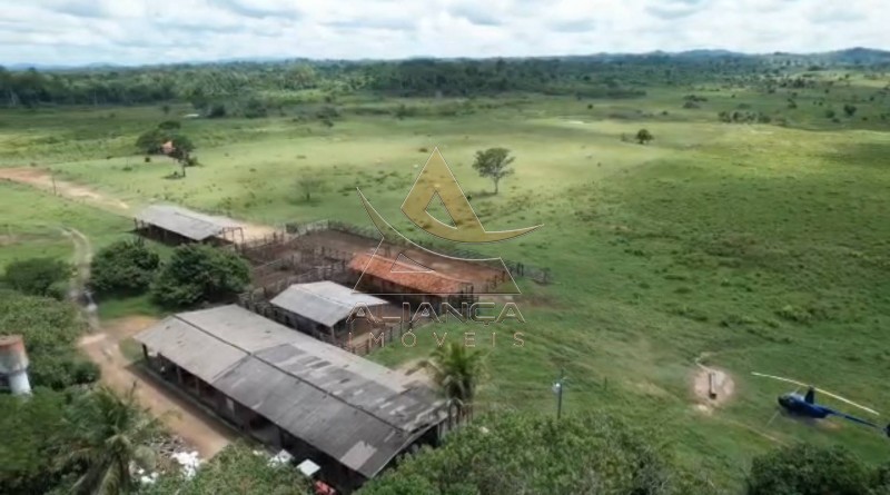 Aliança Imóveis - Imobiliária em Ribeirão Preto - SP - Fazenda  - Vila Paredão Grande - Vila Paredão Grande