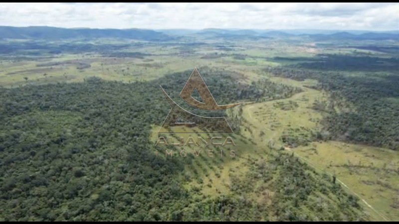 Aliança Imóveis - Imobiliária em Ribeirão Preto - SP - Fazenda  - Vila Paredão Grande - Vila Paredão Grande