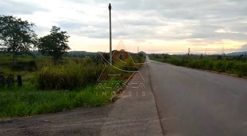 Aliança Imóveis - Imobiliária em Ribeirão Preto - SP - Fazenda  - Vila Paredão Grande - Vila Paredão Grande