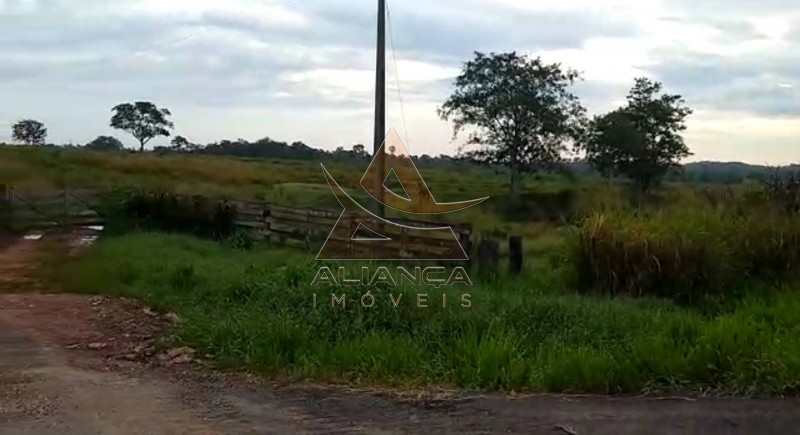 Aliança Imóveis - Imobiliária em Ribeirão Preto - SP - Fazenda  - Vila Paredão Grande - Vila Paredão Grande