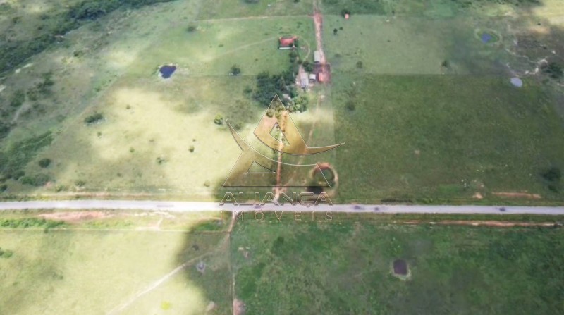 Aliança Imóveis - Imobiliária em Ribeirão Preto - SP - Fazenda  - Vila Paredão Grande - Vila Paredão Grande