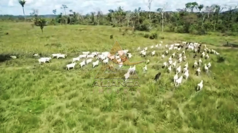 Aliança Imóveis - Imobiliária em Ribeirão Preto - SP - Fazenda  - Vila Paredão Grande - Vila Paredão Grande