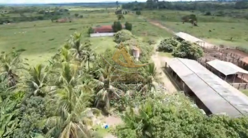 Aliança Imóveis - Imobiliária em Ribeirão Preto - SP - Fazenda  - Vila Paredão Grande - Vila Paredão Grande