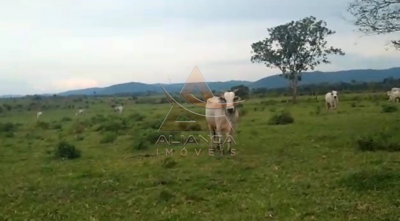 Aliança Imóveis - Imobiliária em Ribeirão Preto - SP - Fazenda  - Vila Paredão Grande - Vila Paredão Grande