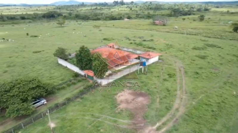 Aliança Imóveis - Imobiliária em Ribeirão Preto - SP - Fazenda  - Vila Paredão Grande - Vila Paredão Grande