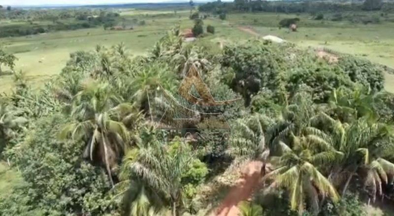 Aliança Imóveis - Imobiliária em Ribeirão Preto - SP - Fazenda  - Vila Paredão Grande - Vila Paredão Grande