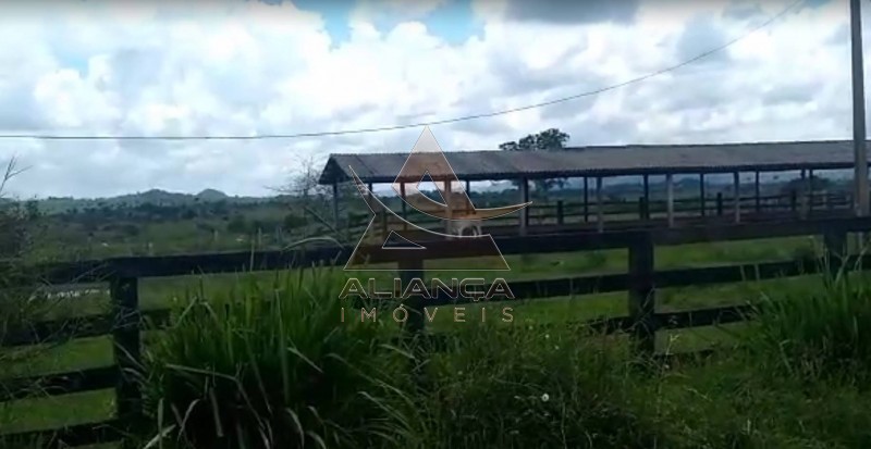 Aliança Imóveis - Imobiliária em Ribeirão Preto - SP - Fazenda  - Vila Paredão Grande - Vila Paredão Grande