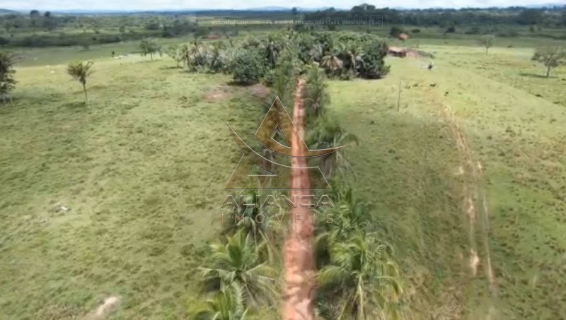 Aliança Imóveis - Imobiliária em Ribeirão Preto - SP - Fazenda  - Vila Paredão Grande - Vila Paredão Grande