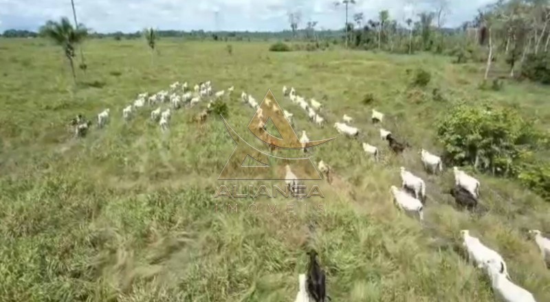 Aliança Imóveis - Imobiliária em Ribeirão Preto - SP - Fazenda  - Vila Paredão Grande - Vila Paredão Grande