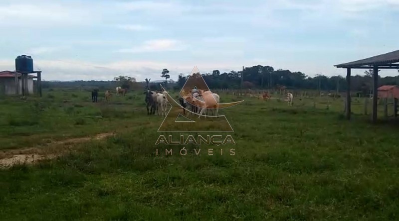 Aliança Imóveis - Imobiliária em Ribeirão Preto - SP - Fazenda  - Vila Paredão Grande - Vila Paredão Grande