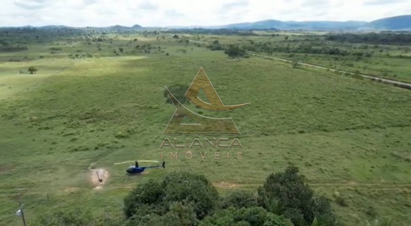 Aliança Imóveis - Imobiliária em Ribeirão Preto - SP - Fazenda  - Vila Paredão Grande - Vila Paredão Grande