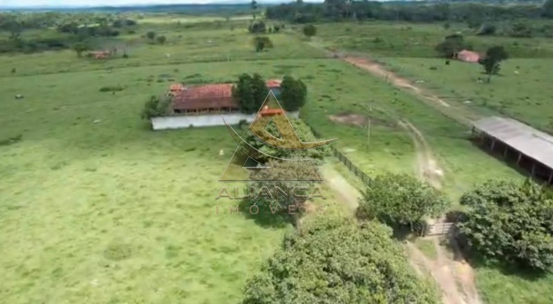Aliança Imóveis - Imobiliária em Ribeirão Preto - SP - Fazenda  - Vila Paredão Grande - Vila Paredão Grande