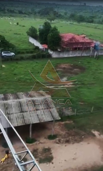 Aliança Imóveis - Imobiliária em Ribeirão Preto - SP - Fazenda  - Vila Paredão Grande - Vila Paredão Grande