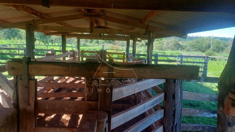 Aliança Imóveis - Imobiliária em Ribeirão Preto - SP - Fazenda  - Fazenda - Comendador Gomes