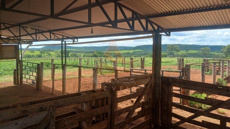 Aliança Imóveis - Imobiliária em Ribeirão Preto - SP - Fazenda  - Fazenda - Comendador Gomes