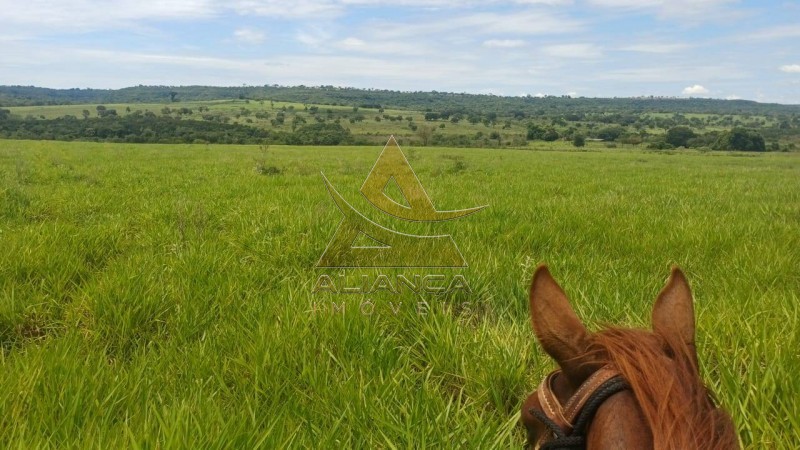 Aliança Imóveis - Imobiliária em Ribeirão Preto - SP - Fazenda  - Fazenda - Comendador Gomes