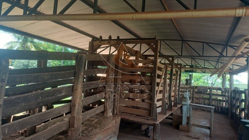 Aliança Imóveis - Imobiliária em Ribeirão Preto - SP - Fazenda  - Fazenda - Comendador Gomes