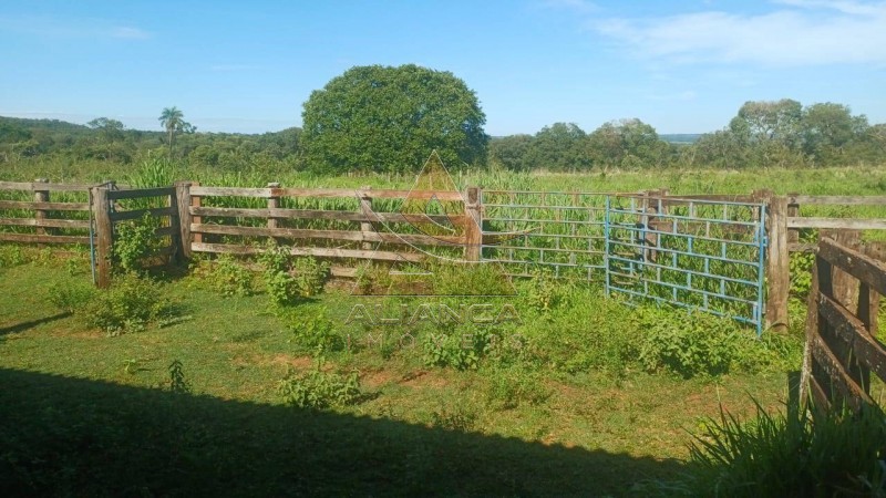 Aliança Imóveis - Imobiliária em Ribeirão Preto - SP - Fazenda  - Fazenda - Comendador Gomes