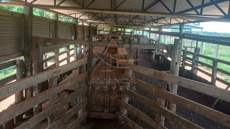 Aliança Imóveis - Imobiliária em Ribeirão Preto - SP - Fazenda  - Fazenda - Comendador Gomes