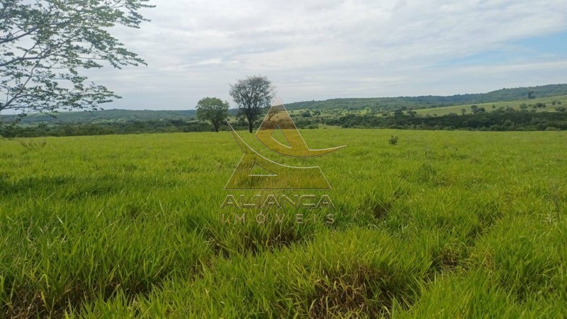 Aliança Imóveis - Imobiliária em Ribeirão Preto - SP - Fazenda  - Fazenda - Comendador Gomes