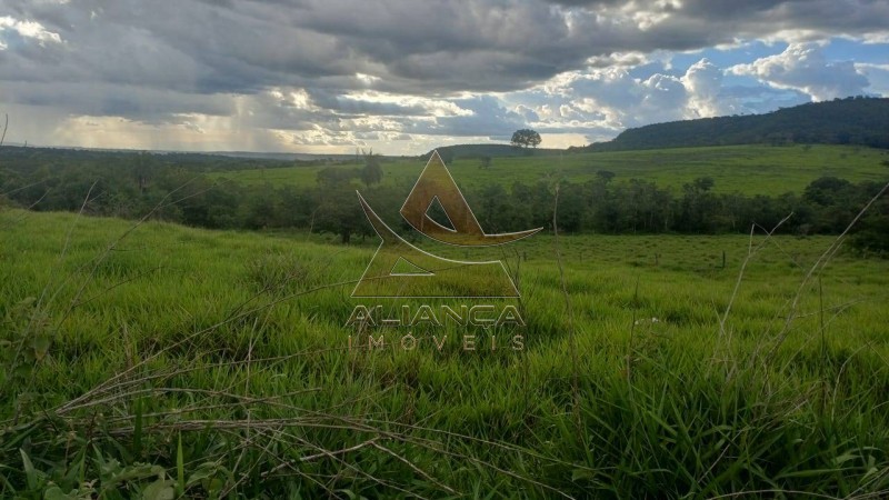 Aliança Imóveis - Imobiliária em Ribeirão Preto - SP - Fazenda  - Fazenda - Comendador Gomes