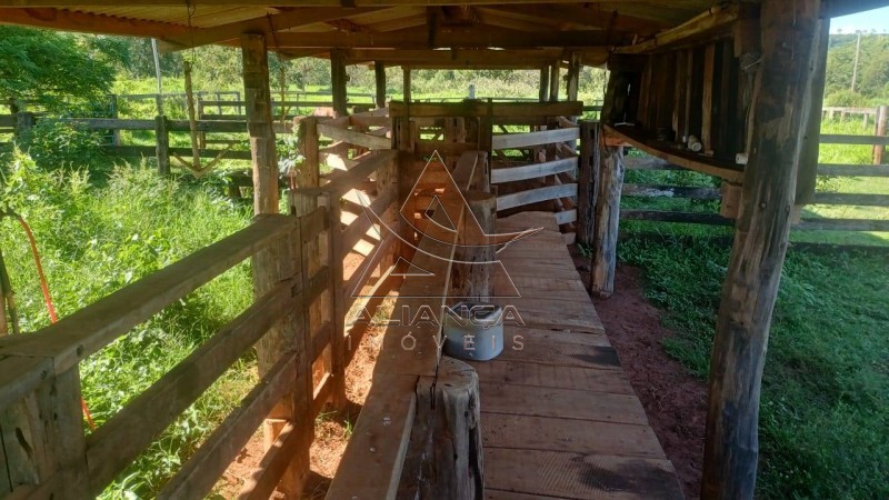 Aliança Imóveis - Imobiliária em Ribeirão Preto - SP - Fazenda  - Fazenda - Comendador Gomes