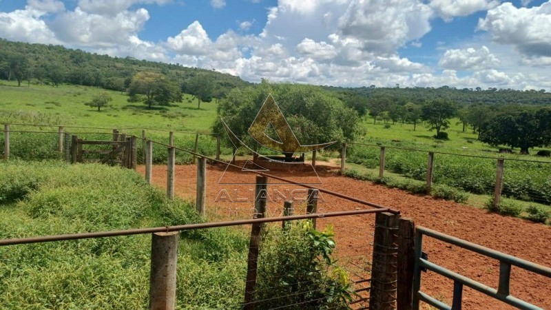 Aliança Imóveis - Imobiliária em Ribeirão Preto - SP - Fazenda  - Fazenda - Comendador Gomes