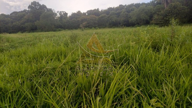 Aliança Imóveis - Imobiliária em Ribeirão Preto - SP - Fazenda  - Fazenda - Comendador Gomes