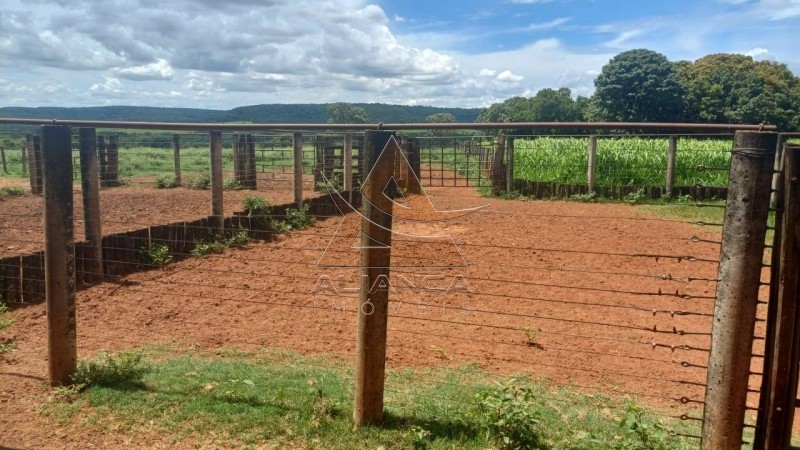 Aliança Imóveis - Imobiliária em Ribeirão Preto - SP - Fazenda  - Fazenda - Comendador Gomes