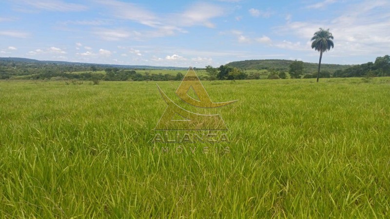 Aliança Imóveis - Imobiliária em Ribeirão Preto - SP - Fazenda  - Fazenda - Comendador Gomes