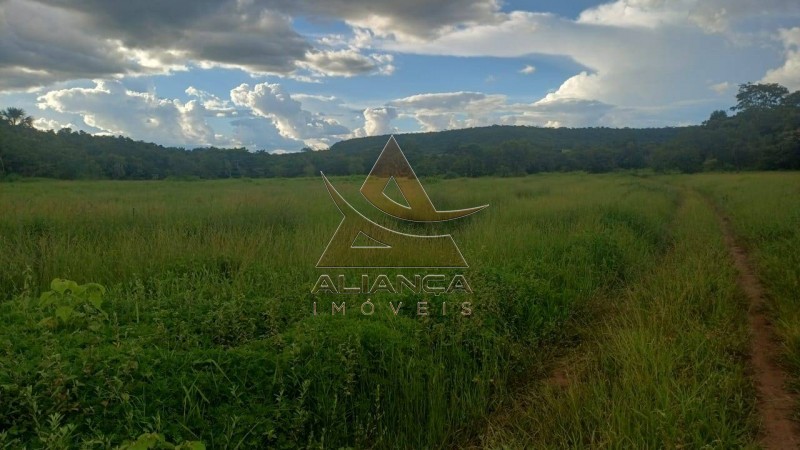 Aliança Imóveis - Imobiliária em Ribeirão Preto - SP - Fazenda  - Fazenda - Comendador Gomes