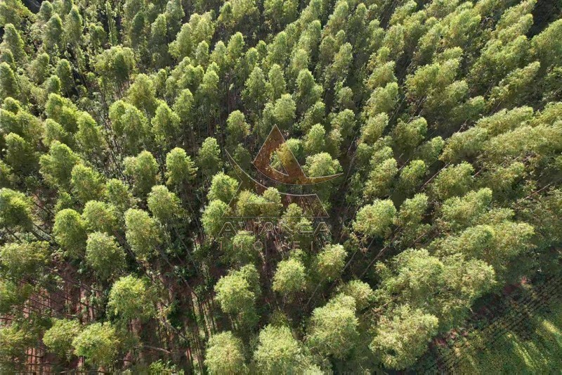 Aliança Imóveis - Imobiliária em Ribeirão Preto - SP - Fazenda  - Fazenda Norte de Minas Gerais - Itacarambi 