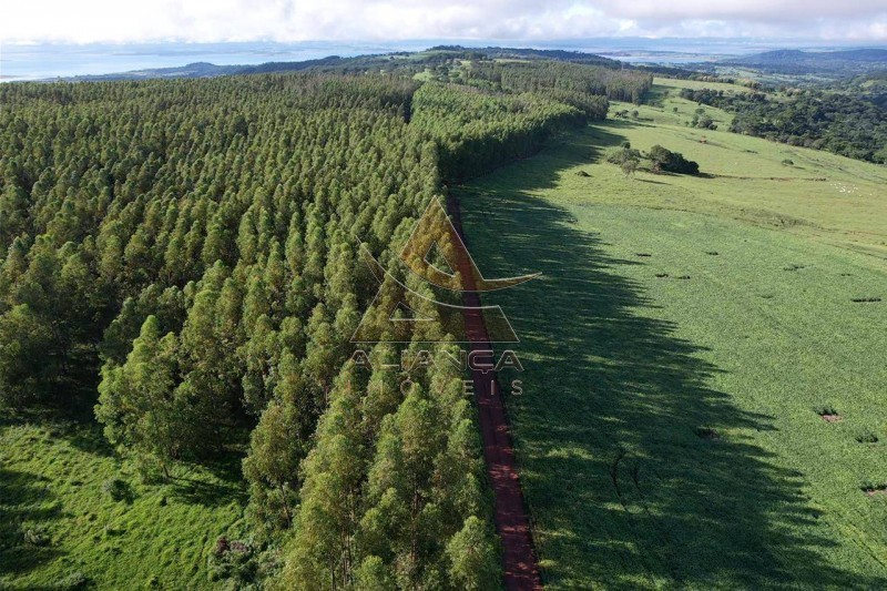 Aliança Imóveis - Imobiliária em Ribeirão Preto - SP - Fazenda  - Fazenda Norte de Minas Gerais - Itacarambi 