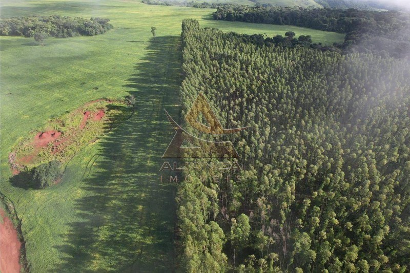 Aliança Imóveis - Imobiliária em Ribeirão Preto - SP - Fazenda  - Fazenda Norte de Minas Gerais - Itacarambi 