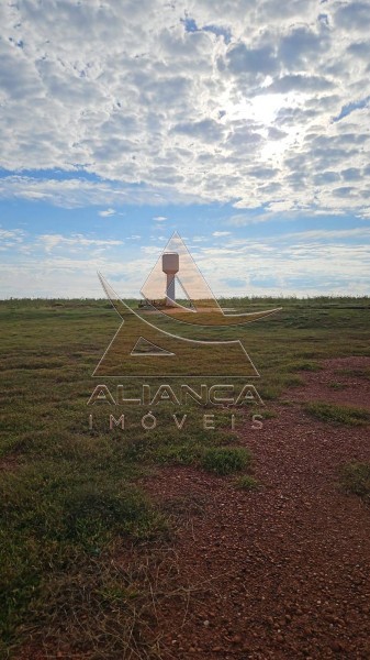 Aliança Imóveis - Imobiliária em Ribeirão Preto - SP - Fazenda  - Zona Rural - Pitangueiras