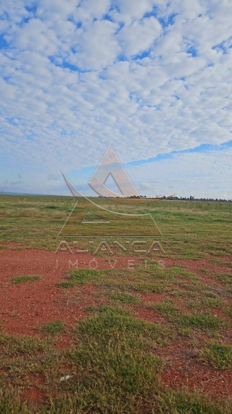 Aliança Imóveis - Imobiliária em Ribeirão Preto - SP - Fazenda  - Zona Rural - Pitangueiras