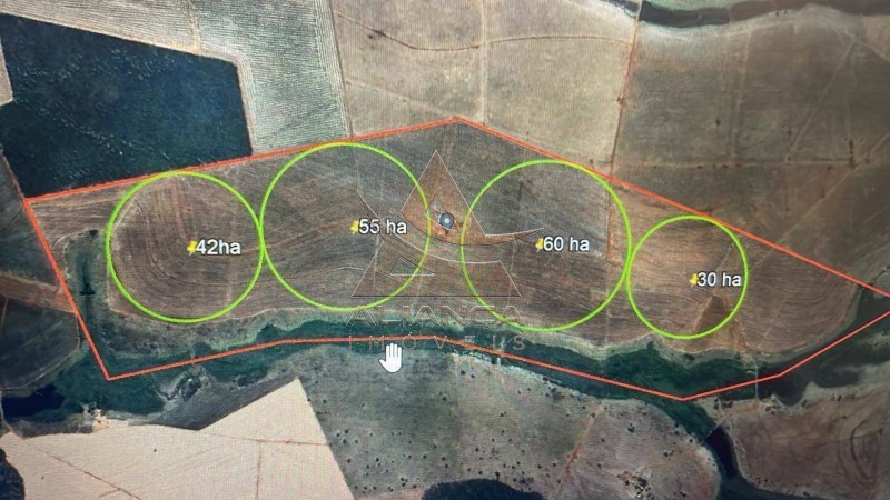 Aliança Imóveis - Imobiliária em Ribeirão Preto - SP - Fazenda  - Zona Rural - Pitangueiras