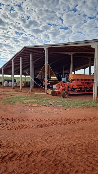 Aliança Imóveis - Imobiliária em Ribeirão Preto - SP - Fazenda  - Zona Rural - Pitangueiras