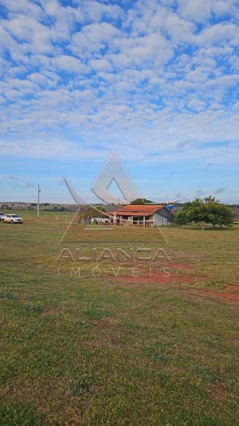 Aliança Imóveis - Imobiliária em Ribeirão Preto - SP - Fazenda  - Zona Rural - Pitangueiras