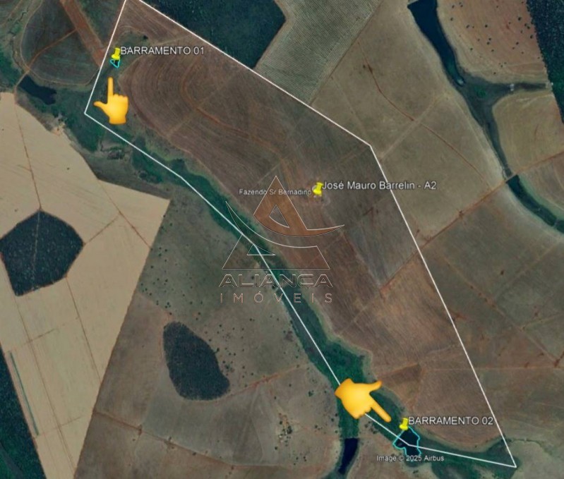 Aliança Imóveis - Imobiliária em Ribeirão Preto - SP - Fazenda  - Zona Rural - Pitangueiras