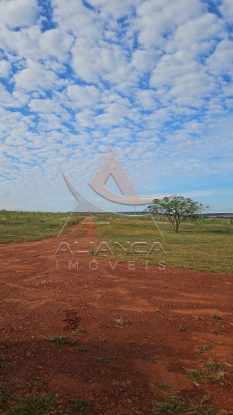 Aliança Imóveis - Imobiliária em Ribeirão Preto - SP - Fazenda  - Zona Rural - Pitangueiras