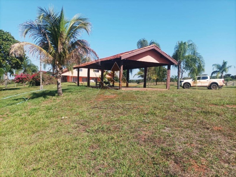 Aliança Imóveis - Imobiliária em Ribeirão Preto - SP - Fazenda  - Zona Rural - Paranaíba