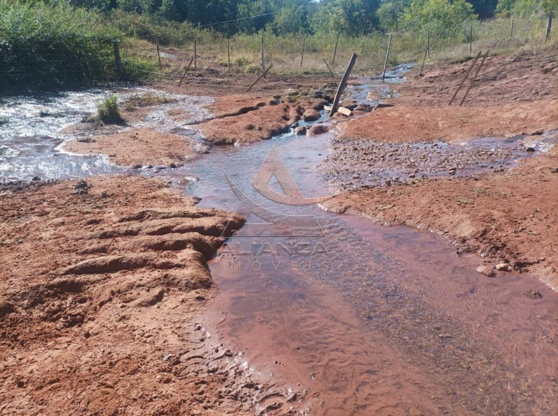 Aliança Imóveis - Imobiliária em Ribeirão Preto - SP - Fazenda  - Zona Rural - Paranaíba