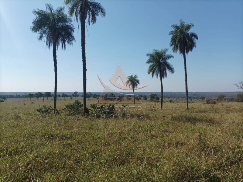 Aliança Imóveis - Imobiliária em Ribeirão Preto - SP - Fazenda  - Zona Rural - Paranaíba