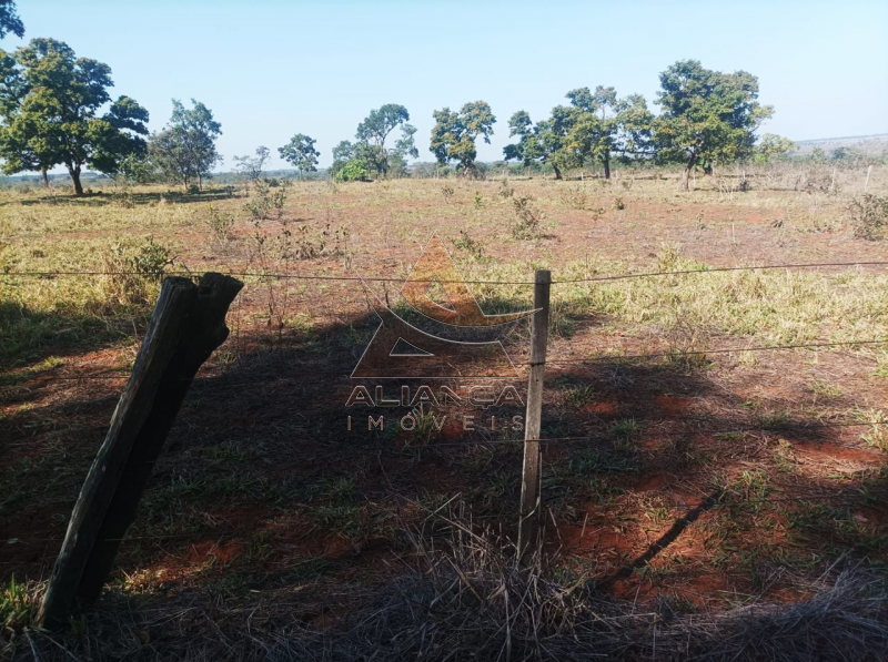 Aliança Imóveis - Imobiliária em Ribeirão Preto - SP - Fazenda  - Zona Rural - Paranaíba