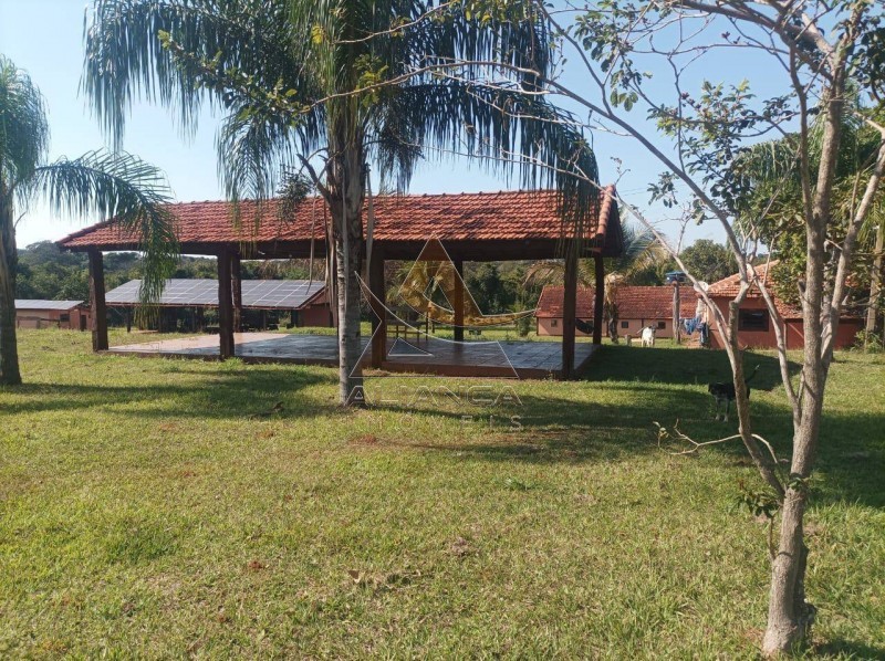 Aliança Imóveis - Imobiliária em Ribeirão Preto - SP - Fazenda  - Zona Rural - Paranaíba