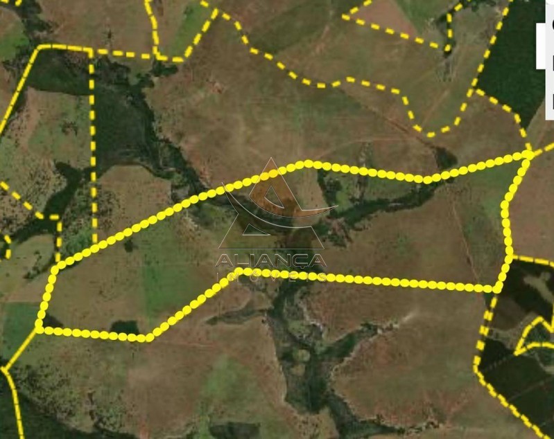 Aliança Imóveis - Imobiliária em Ribeirão Preto - SP - Fazenda  - Zona Rural - Paranaíba