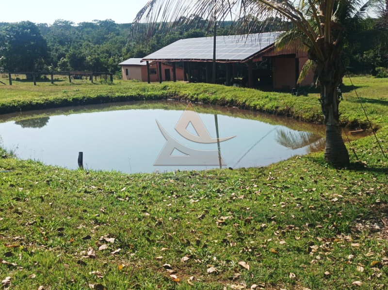 Aliança Imóveis - Imobiliária em Ribeirão Preto - SP - Fazenda  - Zona Rural - Paranaíba